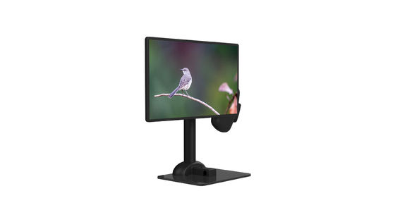 Berufs-LCD-Monitor-Stand-Drehen automatisch für Dorn-Starrheit