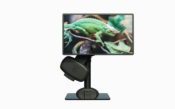 23 cm/min Gesundes Computer-Schreibtisch-Monitor für Halswirbel