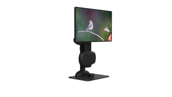 Ergonomischer LCD-Stand-Monitor-Schwenker, zum von Hals-Steifheit zu entlasten