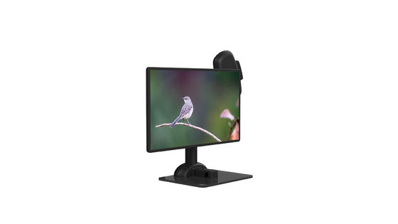 Dorn-Starrheit einzigartiger LCD-Monitor-Stand-ergonomischer Laptop-Arm