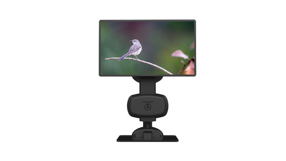 Automatischer drehbarer Monitor-Stand ODM, zum von Schulter-Steifheit zu entlasten