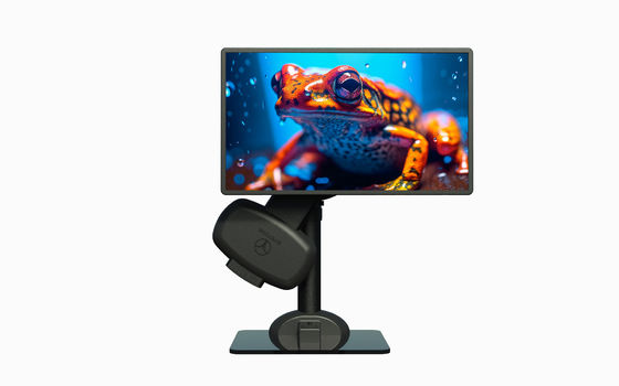 Gesundes Computer-Schreibtisch-Monitor für Nackenschmerzen
