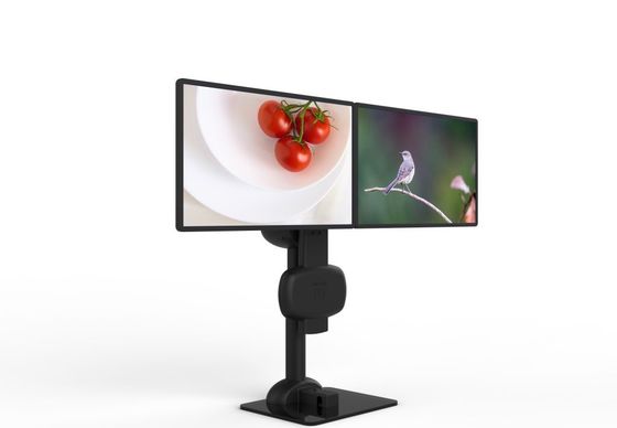 Elektrische Lifting Rotation Dual Monitor Stand für die Linderung von Nacken und Lendenenschmerzen