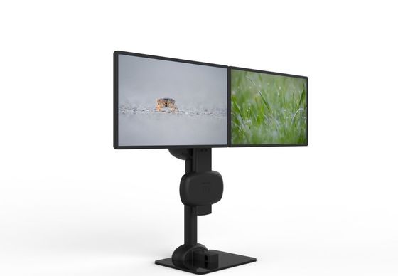 Elektrische Lifting Rotation Dual Monitor Arm zum Linderung von Nacken- und Lendenenschmerzen