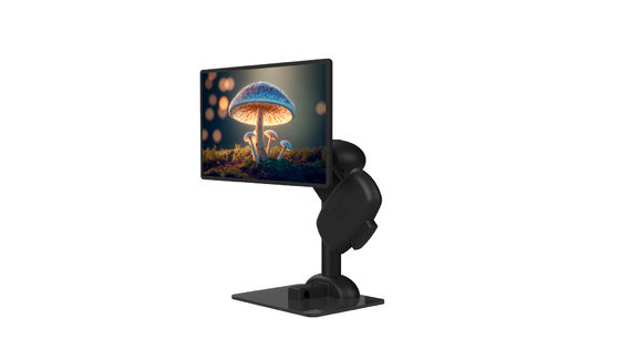 Hals-Steifheits-Laptop-Arm stehen schwarzen anhebenden drehenden Monitor-Berg