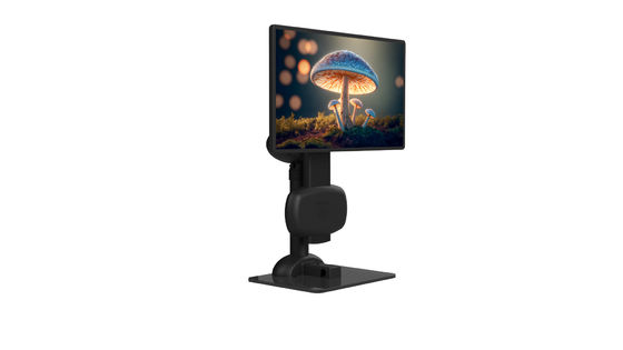 Hals-Gesundheits-elektrischer Laptop-Stand-Berg-ergonomischer fauler Entwurf