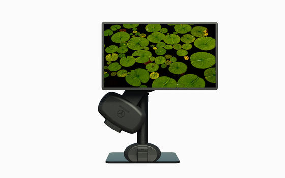 Schwarze elektrische Lifting Rotating Monitor Laotop Arm Halterung zum Verhindern von Nackensteifigkeit