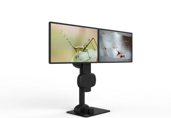 Automatisches Heben Dreh-Doppel-Monitor-Halter zur Linderung von Nacken- und Rückenschmerzen